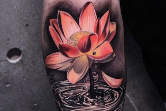 30a1833cd2631ab3c1a81ea0decaa6a5