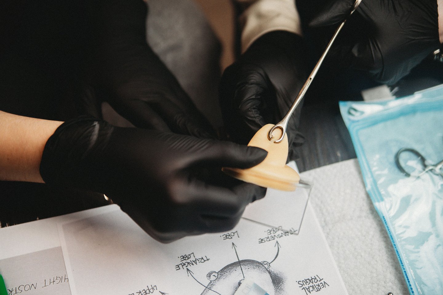 Практика на курсах пирсинга в Таллине