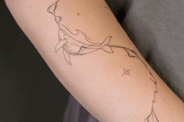 Файнлайн (20)