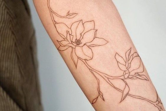 Файнлайн (30)