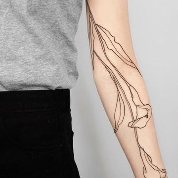 Файнлайн (7)