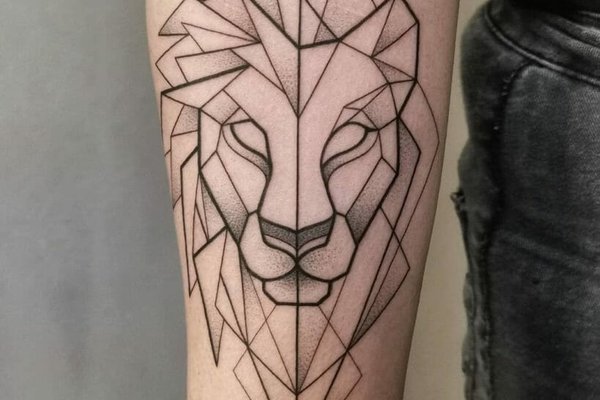 Геометрия (13)