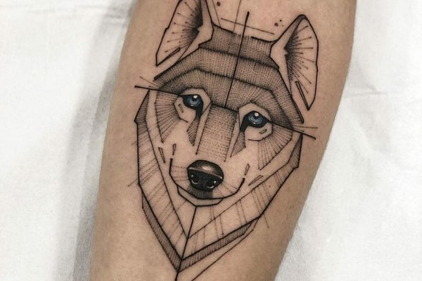 Геометрия (15)