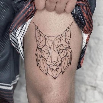 Геометрия (24)