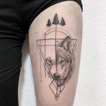 Геометрия (28)