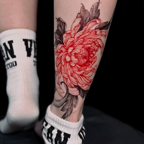 Layered chrysanthemum petals are drawn in expressive red lines, contrasted by dark leaves and a vertical layout that suits the lower leg