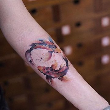 Рыбы Кои (11)