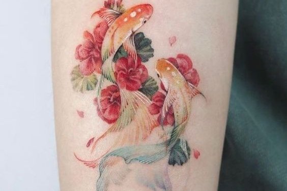 Рыбы Кои (16)