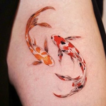 Рыбы Кои (18)