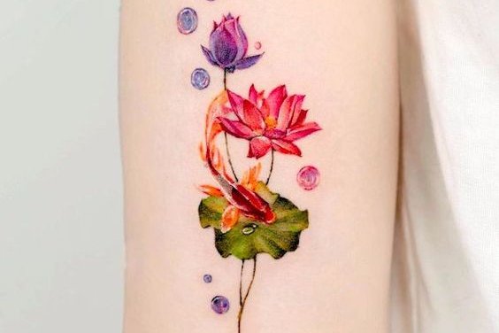 Рыбы Кои (19)