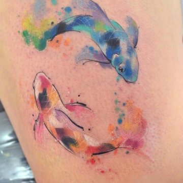 Рыбы Кои (21)