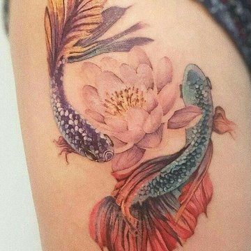 Рыбы Кои (23)