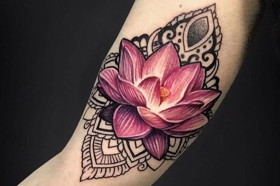 b8b1815ffb66f664c91790d5f74264a5