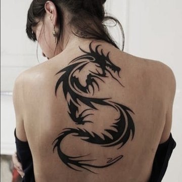 d3c11e350ed1806bd2f60c9695c9edcd