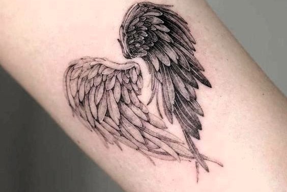 крылья ангела (30)