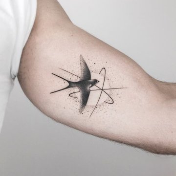 ласточка (14)