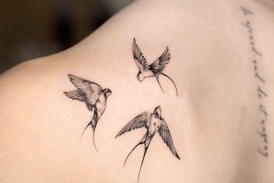 ласточка (15)