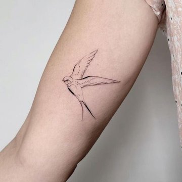 ласточка (22)