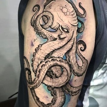 осьминог (11)