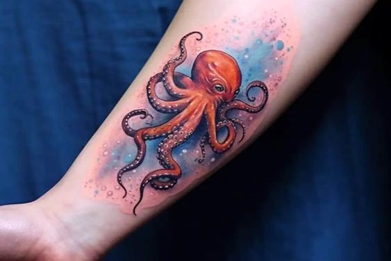 осьминог (19)