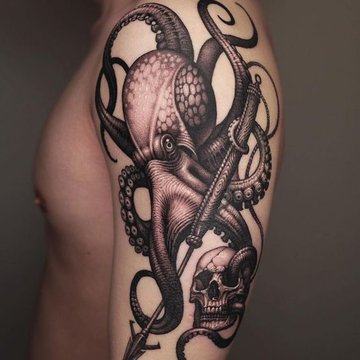 осьминог (20)