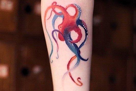 осьминог (22)