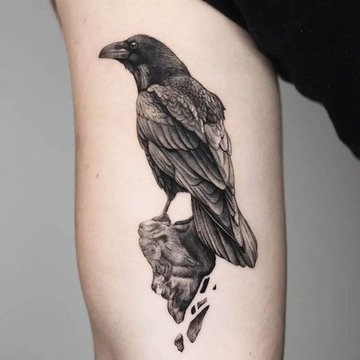 ворон (20)